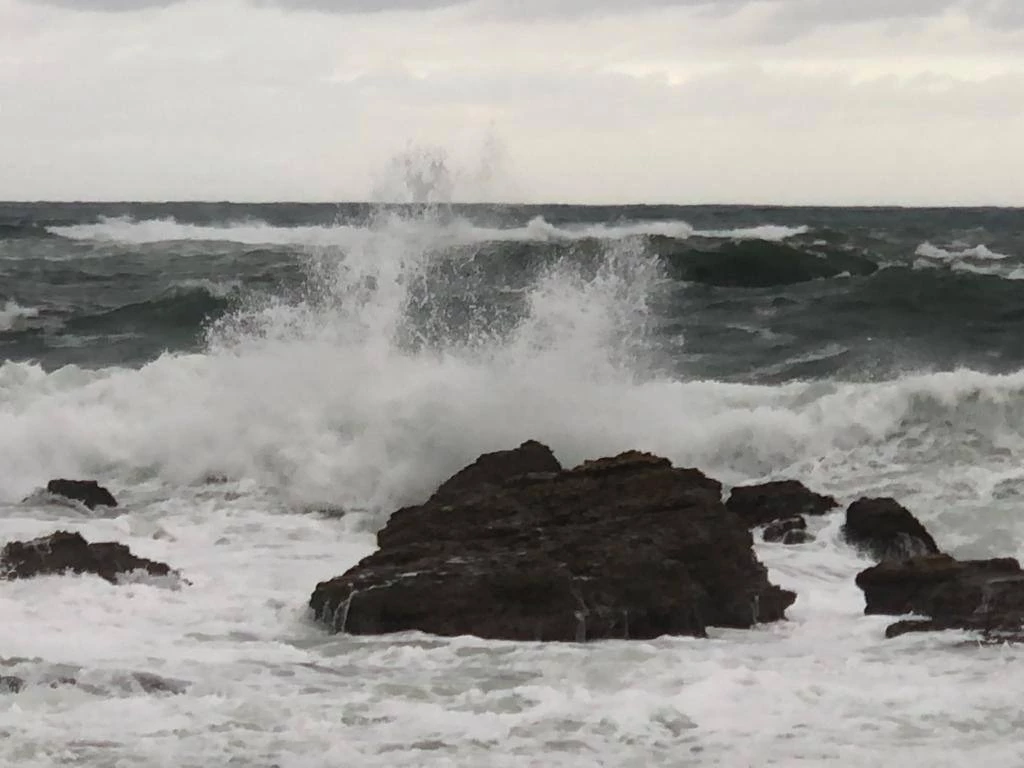 РБК Приморье