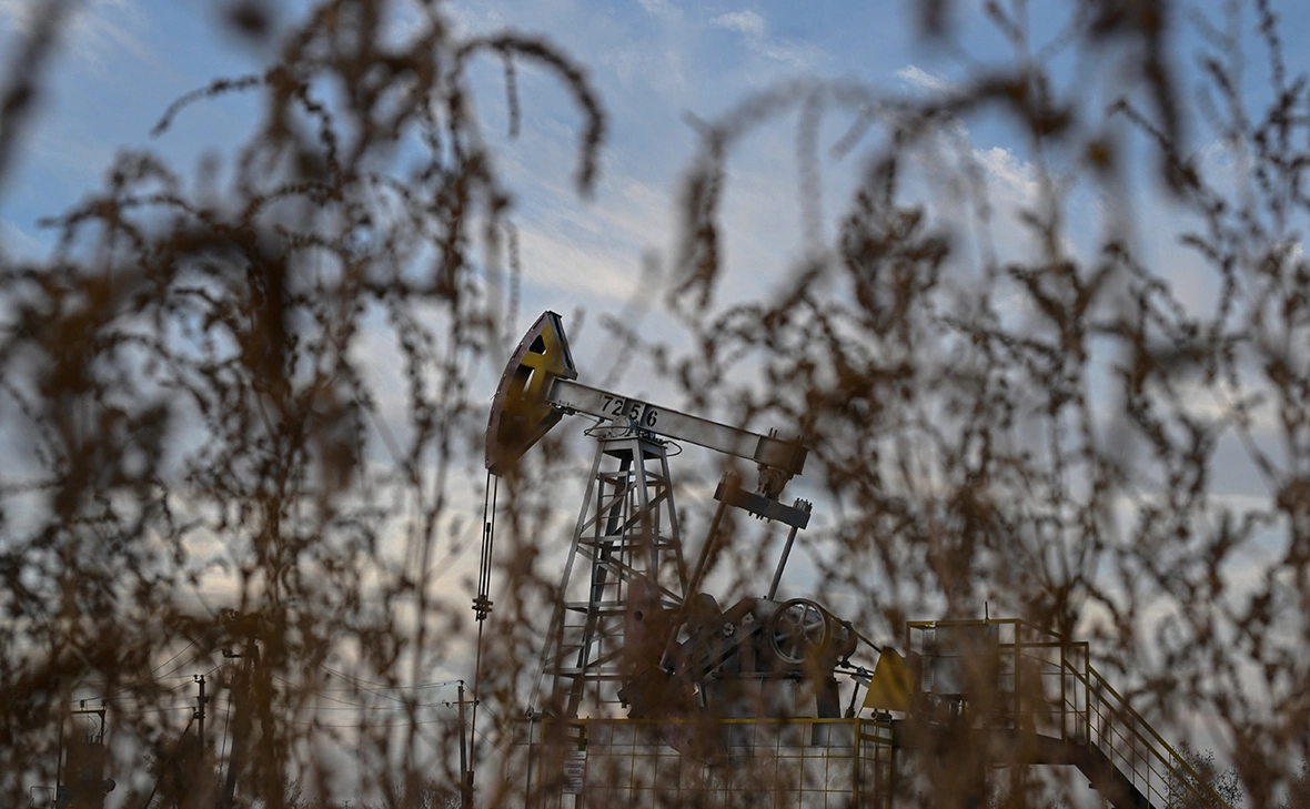 Максим Богодвид / РИА Новости