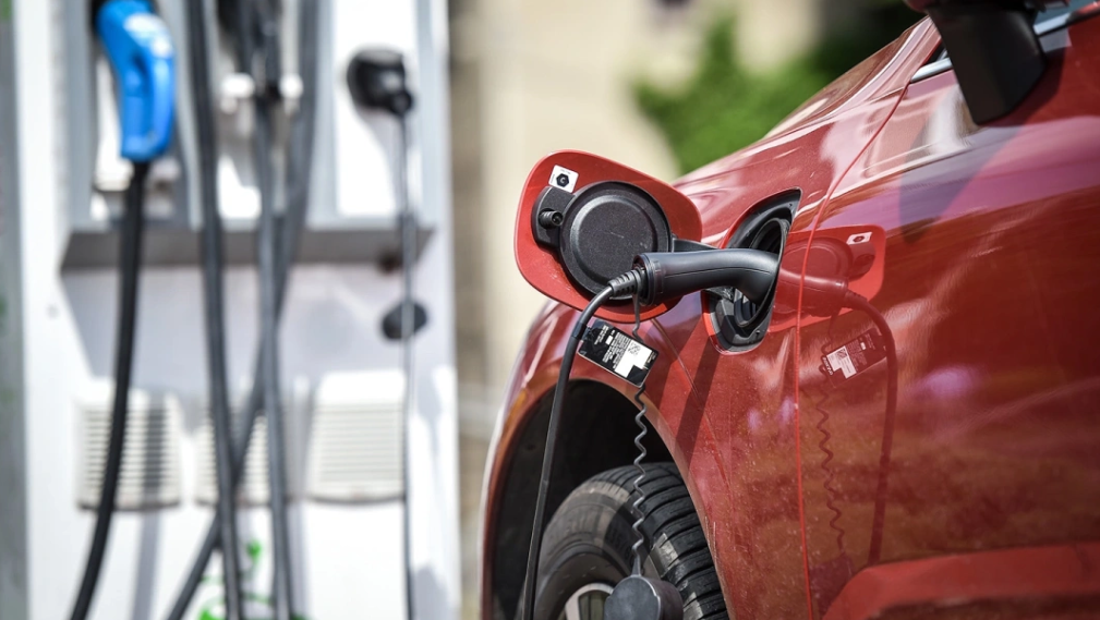 roibu / Shutterstock / FOTODOM