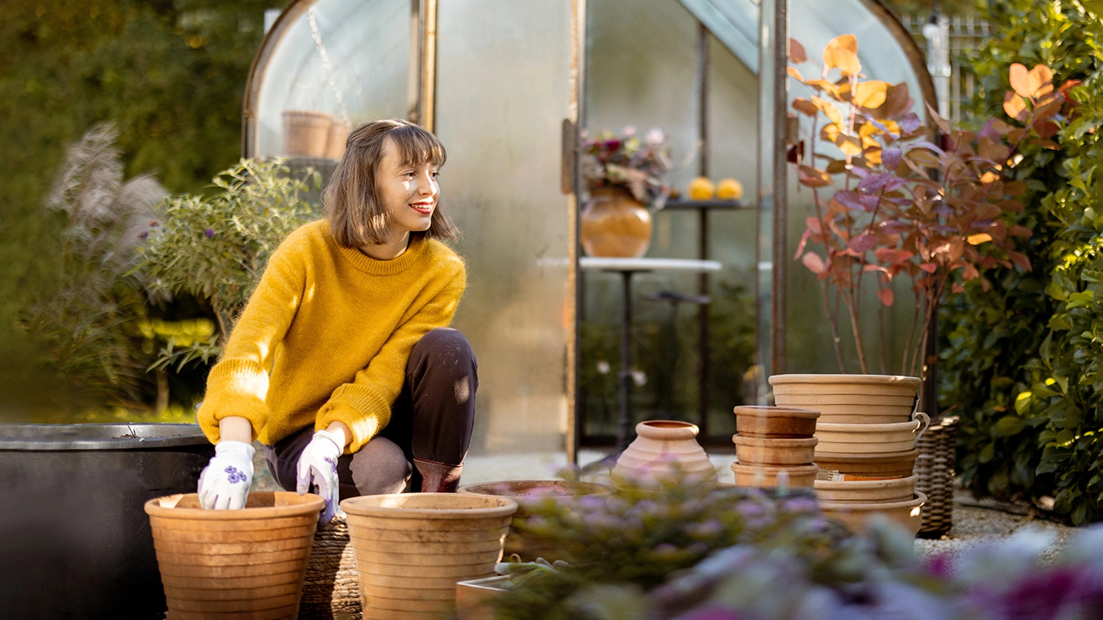 Что сажать под зиму