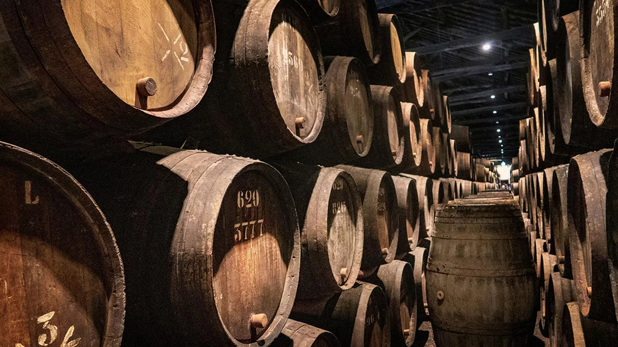 России спрогнозировали «близкий к рекордным» уровень производства вина