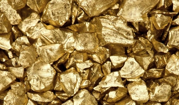 Фото: РБК Приморье