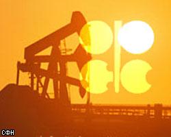 ОПЕК может сократить нефтедобычу, если цены продолжат падение