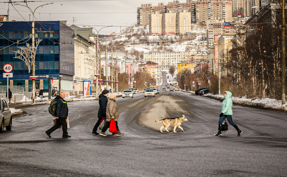 gov-murman.ru
