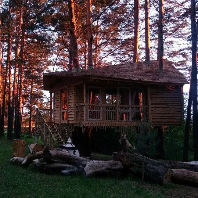 Соцсети туркопмлекса «Гнездо»