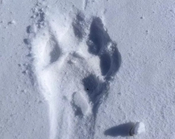 РБК Приморье