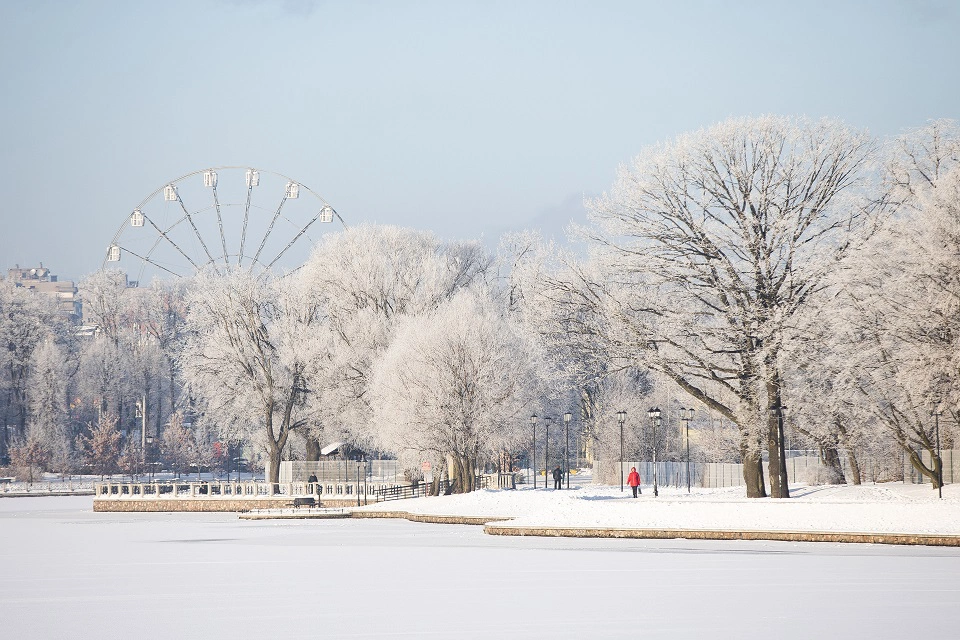 Александр Подгорчук