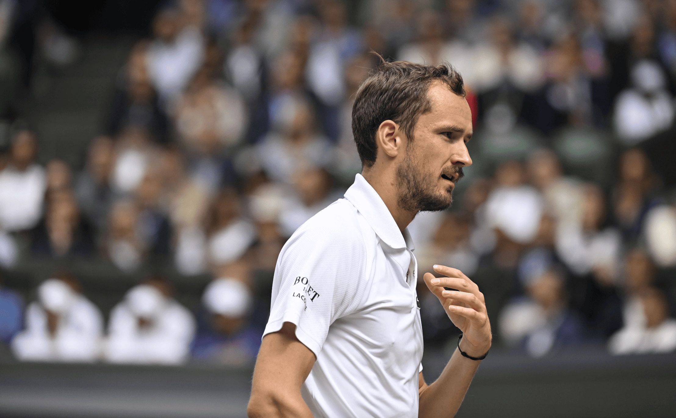 Panoramic / Global look press