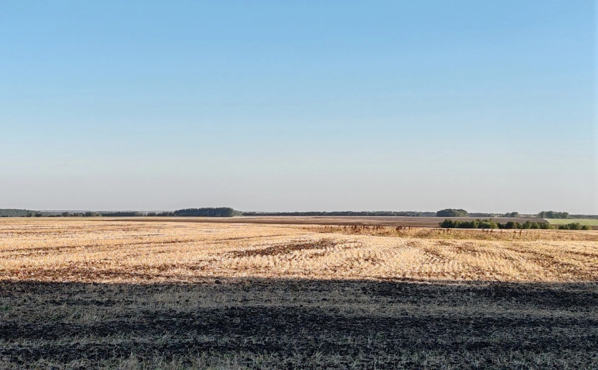 РБК Черноземье