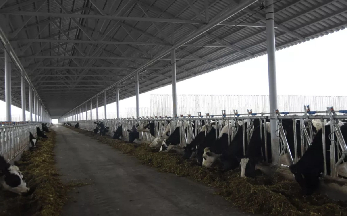 Минсельхоз РБ