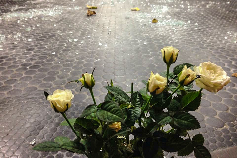 Принесенные парижанами цветы на месте убийства