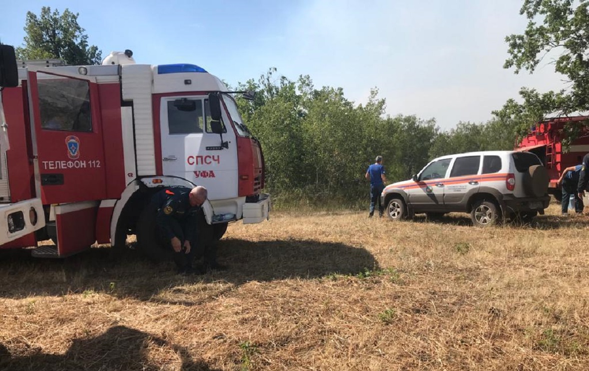 В Башкирии локализовали 10 лесных пожаров на юге республики