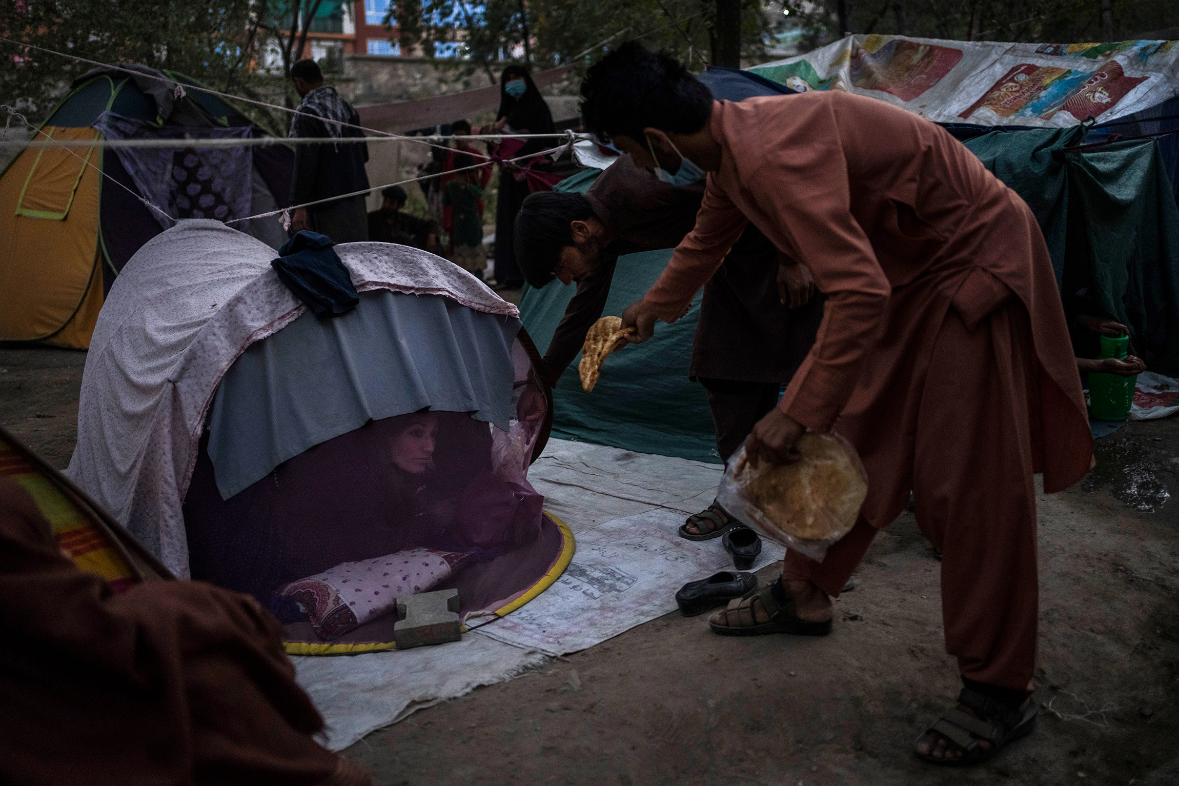 На фото:  в лагере внутренних переселенцев в Кабуле раздают продукты питания

После того, как &laquo;Талибан&raquo; взял Афганистан под контроль, свои дома покинули тысячи человек, и, по данным ООН, количество внутренних переселенцев в стране выросло до 550 тыс. человек. С июля все больше афганцев приезжают в Кабул и другие крупные города, большинство переселенцев из города Газни и провинции Логар, сообщала организация. В лагерях внутренних переселенцев несколько человек могут проживать в одной палатке, собранной из листов пластика. Доступ к питьевой воде там затруднен, людям также сложно соблюдать гигиену. С начала пандемии COVID-19 в Афганистане зарегистрировали 155 тыс. зараженных коронавирусом, 7,2 тыс. смертей от заболевания, но в реальности эти числа могут быть больше из-за больных в лагерях внутренних переселенцев, где нет возможности сделать тест