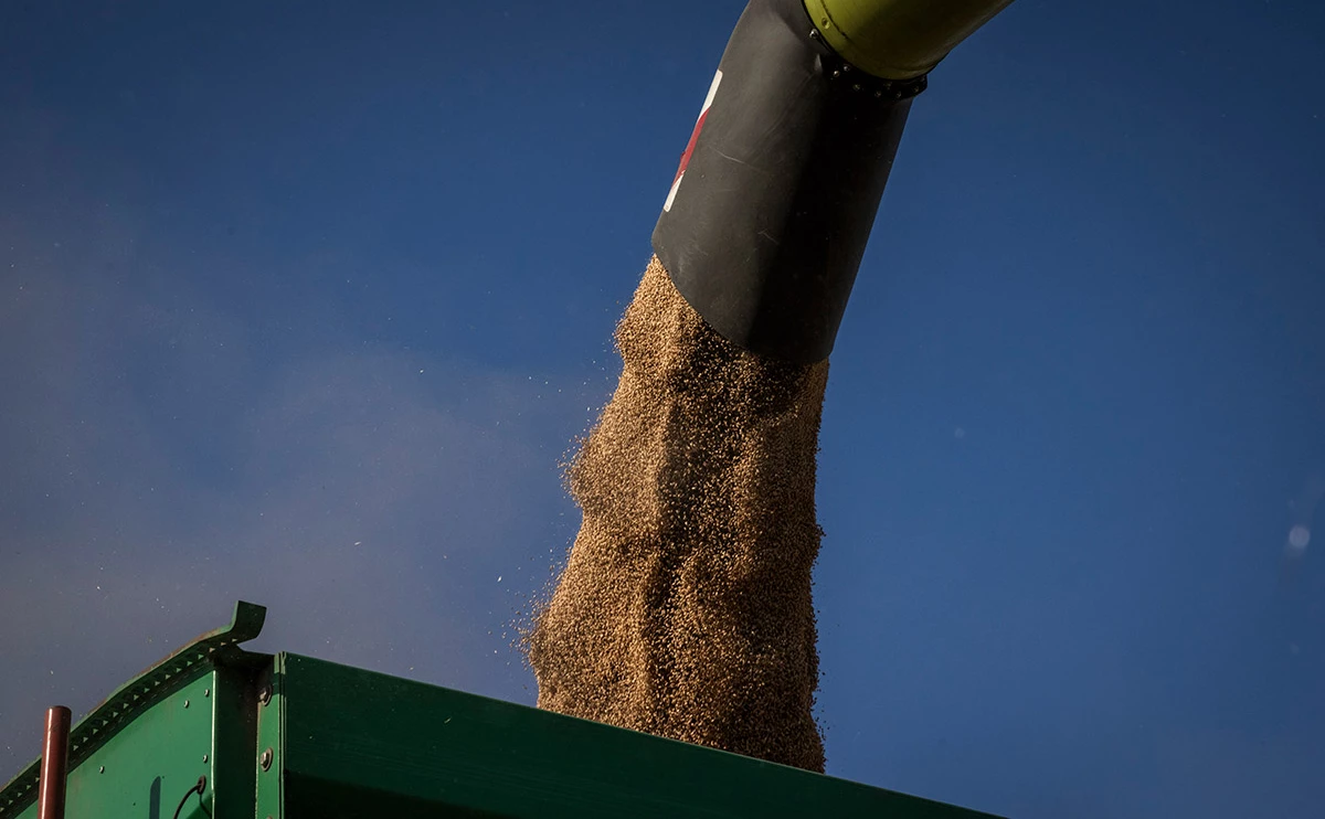  Ed Ram / Getty Images