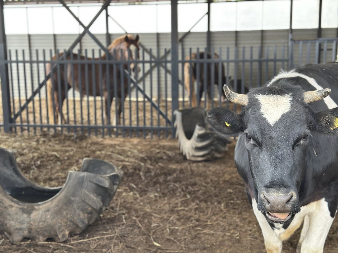 РБК Татарстан