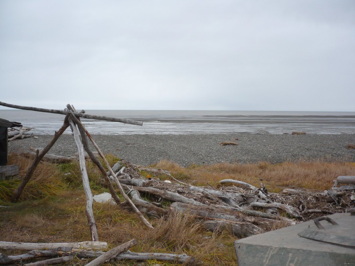 Отлив на побережье Пенжинской губы