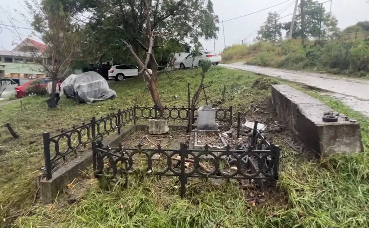 agproshunin / Telegram