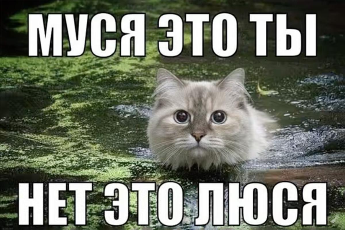 «Нет, это Люся» - просто человек по имени Люся