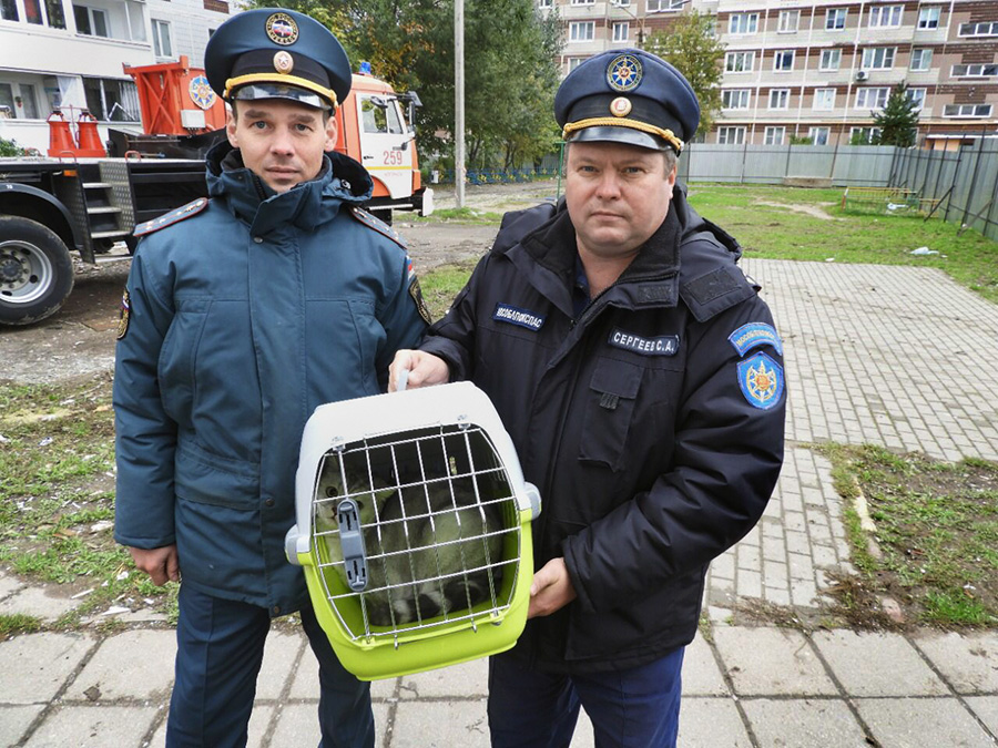 Фото: Московская областная противопожарно-спасательная служба