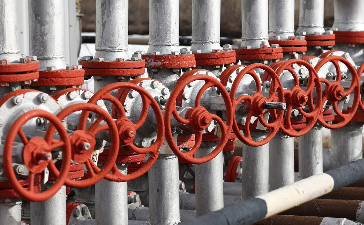 Егор Алеев / ТАСС