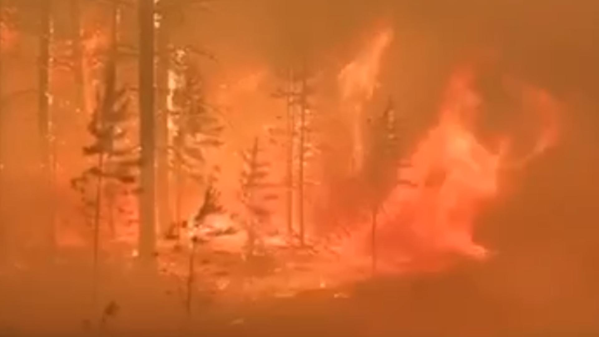 МЧС сообщило о почти 100 лесных пожарах в Якутии
