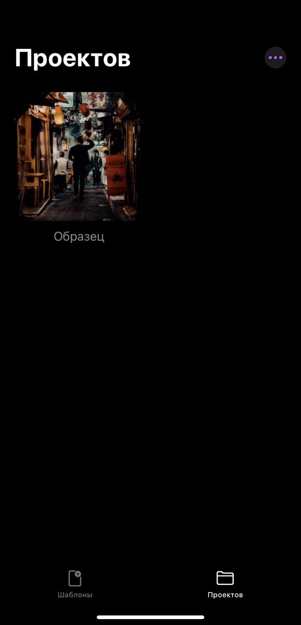 Интерфейс приложения Loopsie с окном, где пользователь может загружать и обрабатывать свои изображения и видео