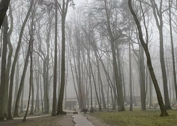 Надежда Будрина