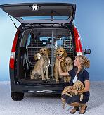 Mercedes-Benz выпустил Vaneo для собаководов