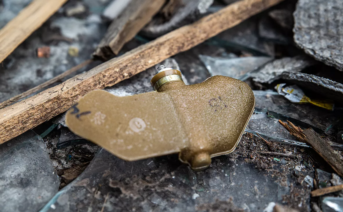 Александр Река / ТАСС