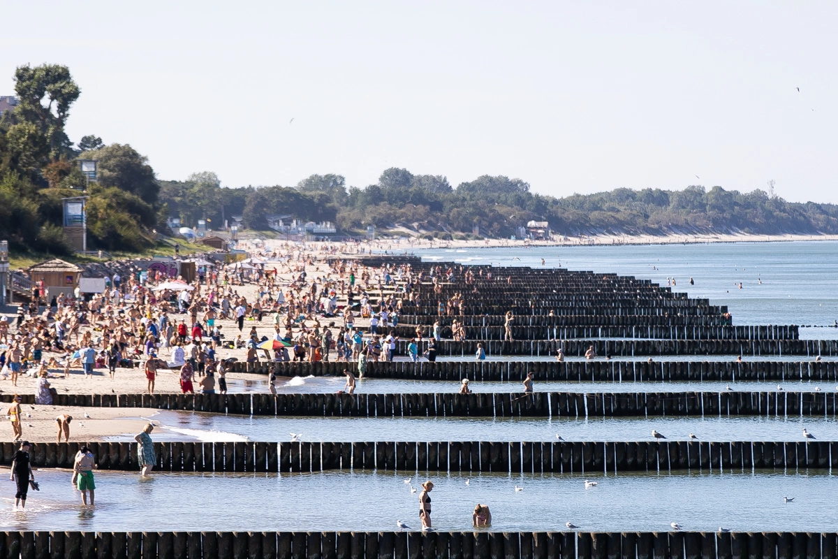 Александр Подгорчук