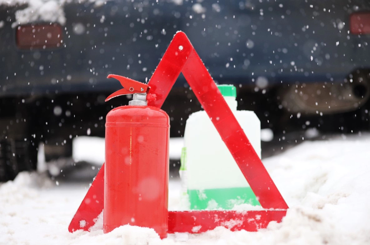 Екатерина Сычкова / URA.RU