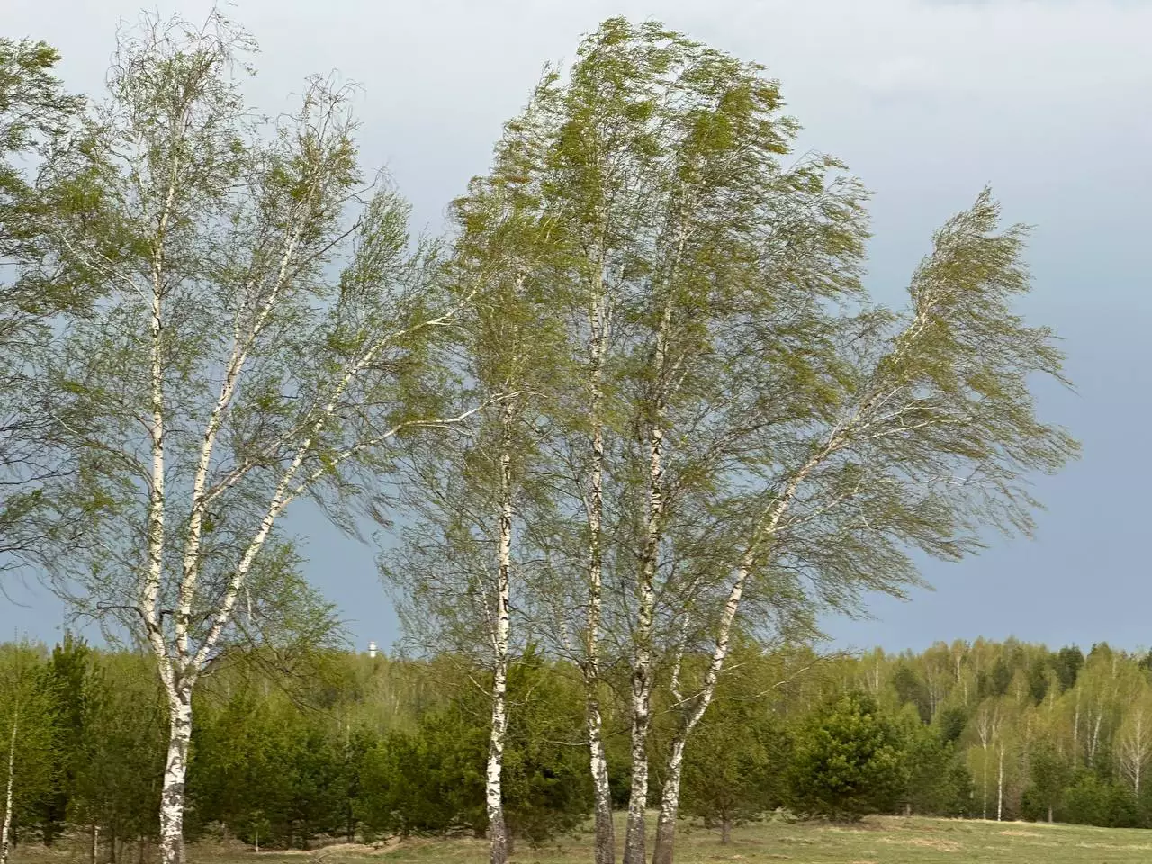 РБК Татарстан