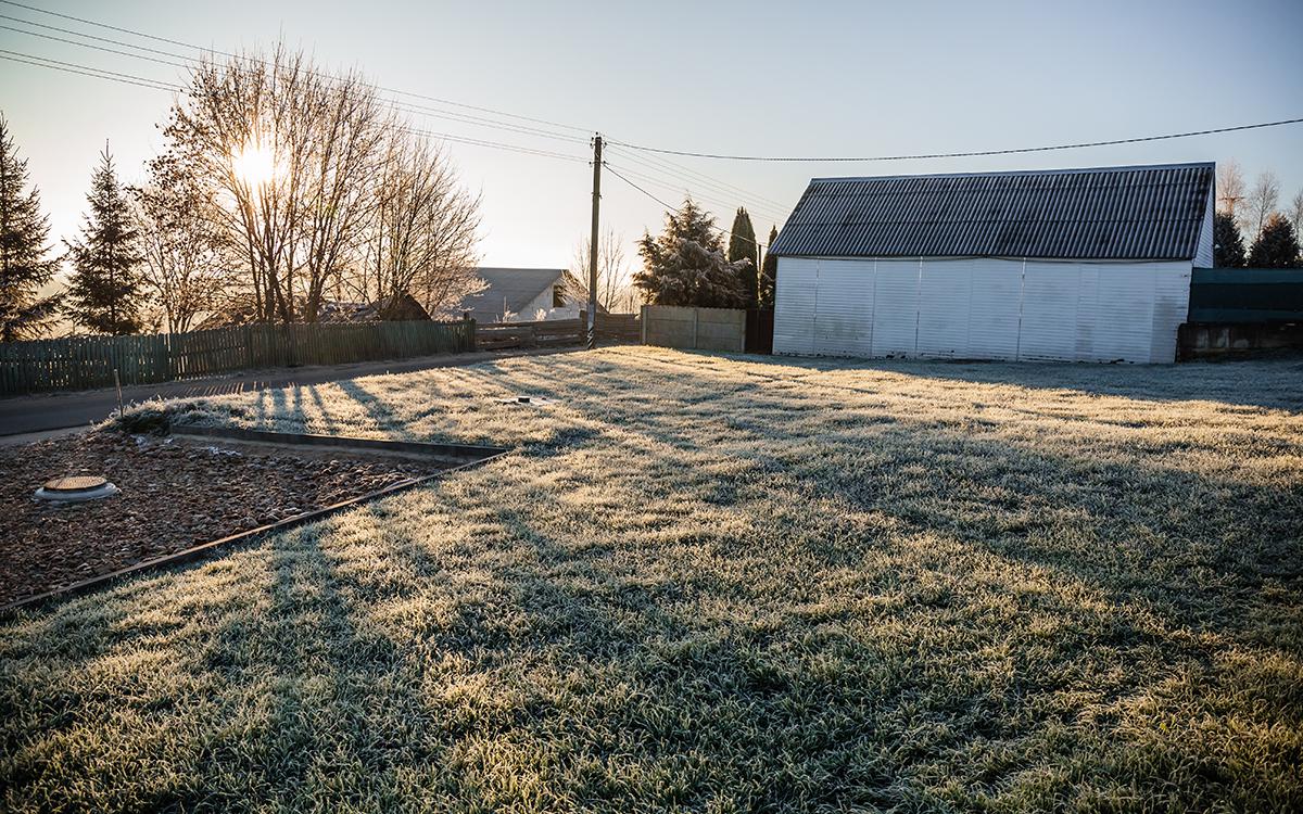 Фото: Hanna Taniukevich / Shutterstock / FOTODOM