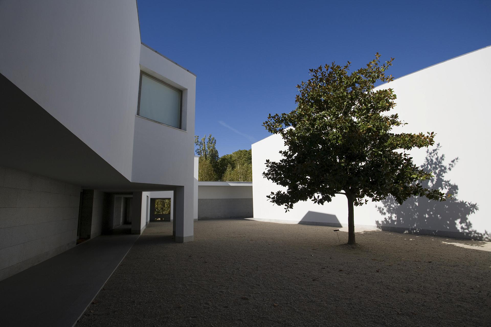 Музей Serralves