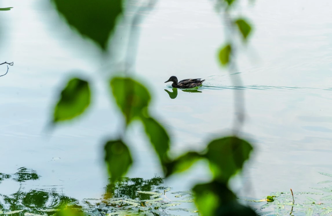 Вадим Ахметов / РИА URA.RU
