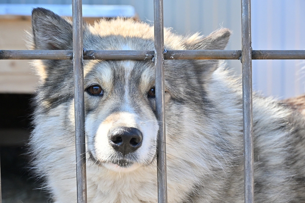 пресс-служба администрации Хабаровска 