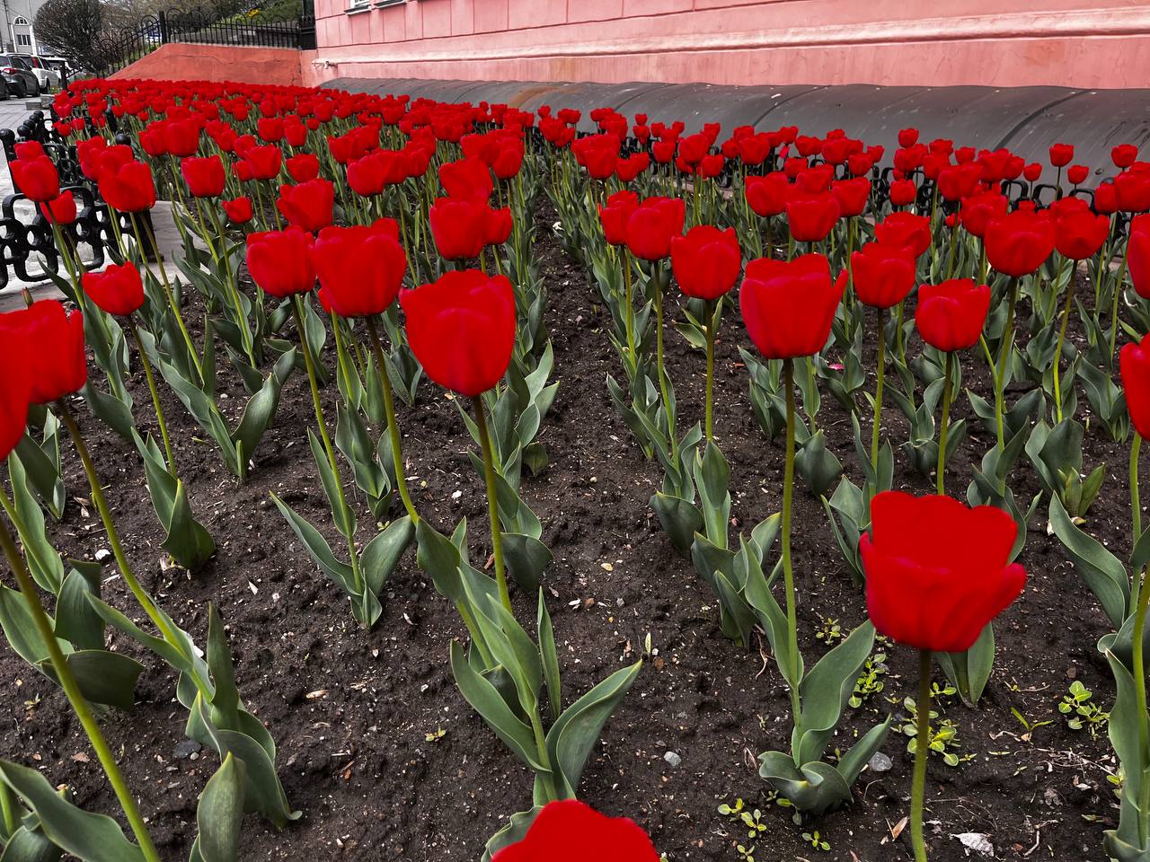 Фото: РБК Приморье
