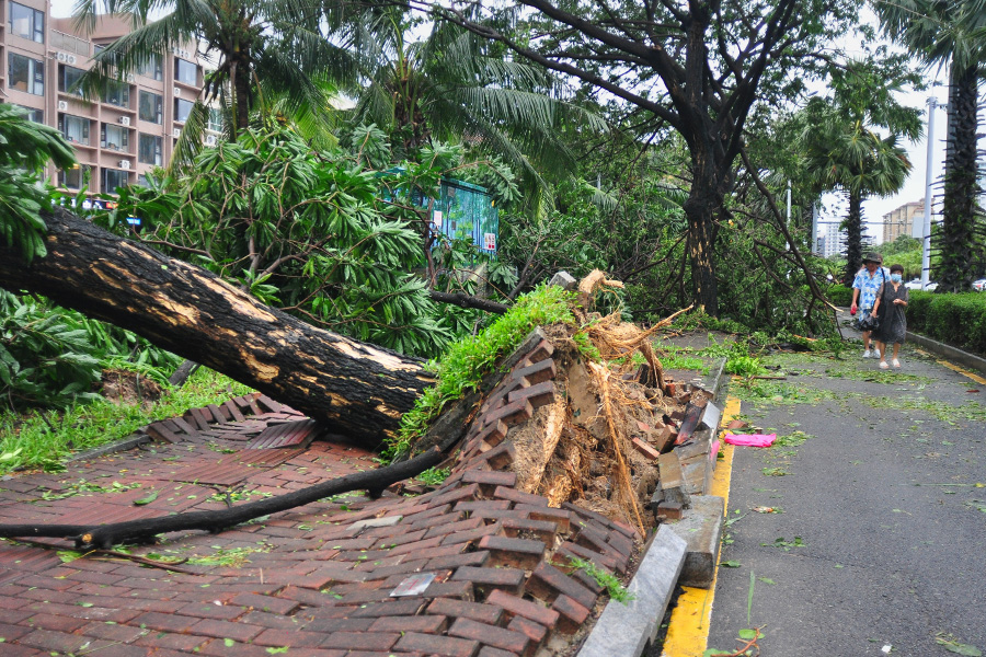 Шторм &laquo;Кадзики&raquo; 24 августа обрушился на юг Китая. Удар приняла на себя провинция Хайнань, также бедствие затронуло Гуандун. Шторм сопровождался сильными ливнями