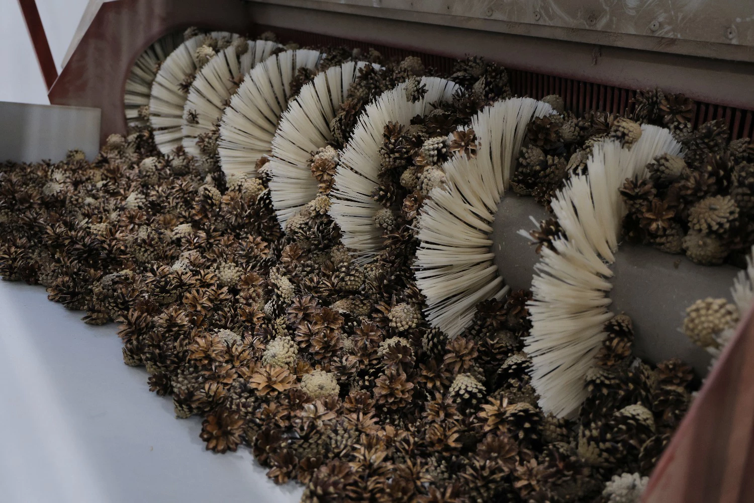 правительство Вологодской области