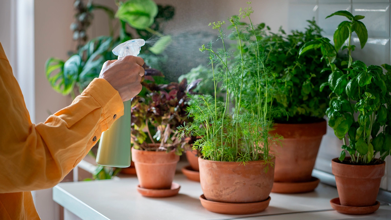 Лунный посевной календарь на февраль 2026-го для садоводов и огородников