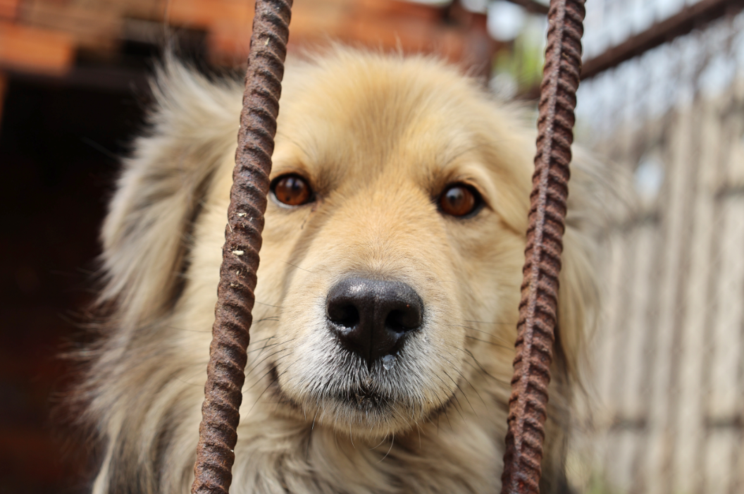 Екатерина Сычкова / URA.RU