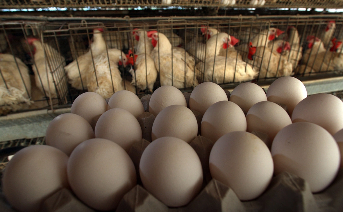 David Silverman / Getty Images