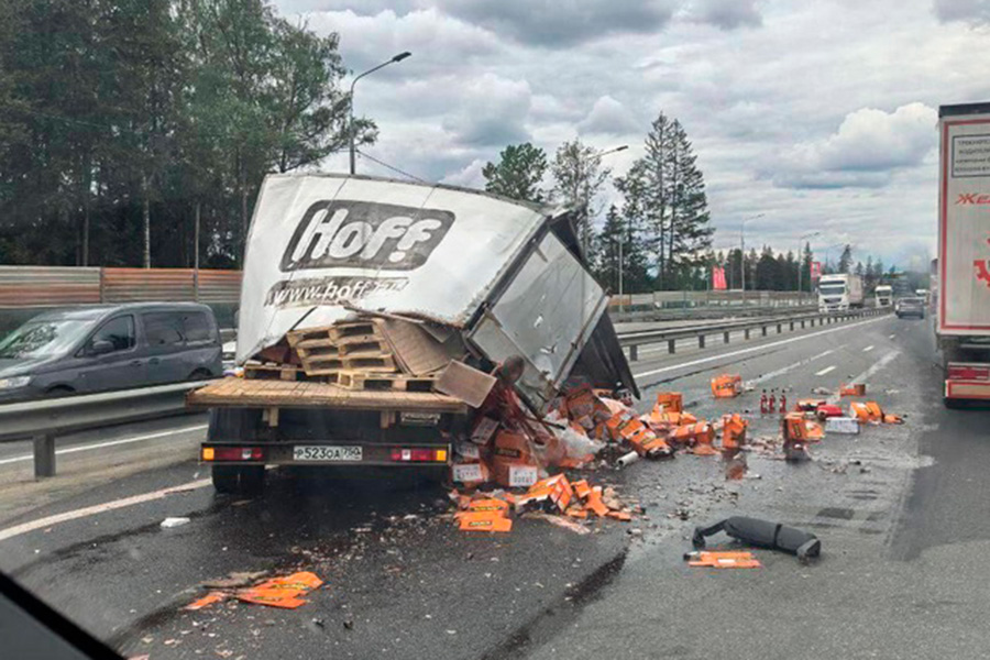 Фото: pluzic / VK