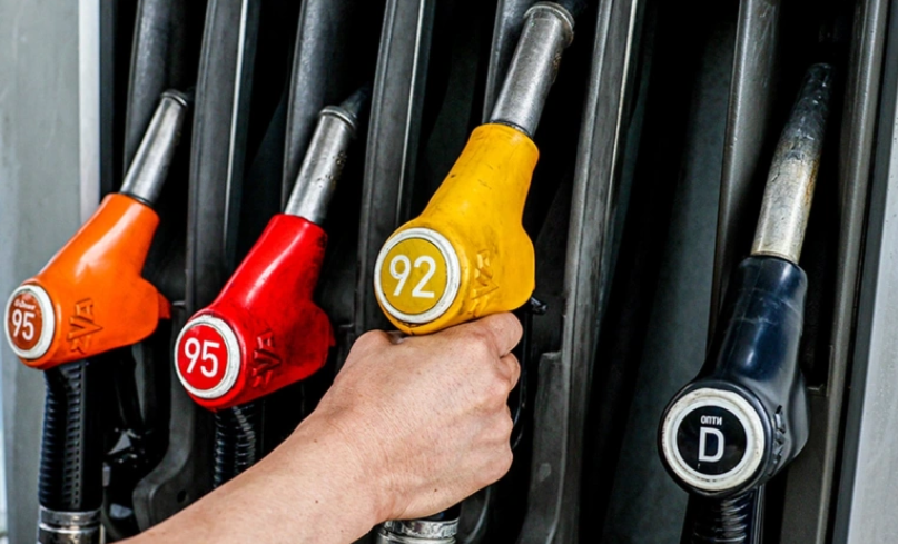 Фото: Сергей Бобылев / ТАСС