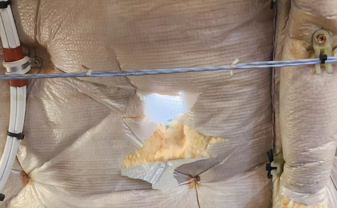 PaulaYacoubian / Twitter