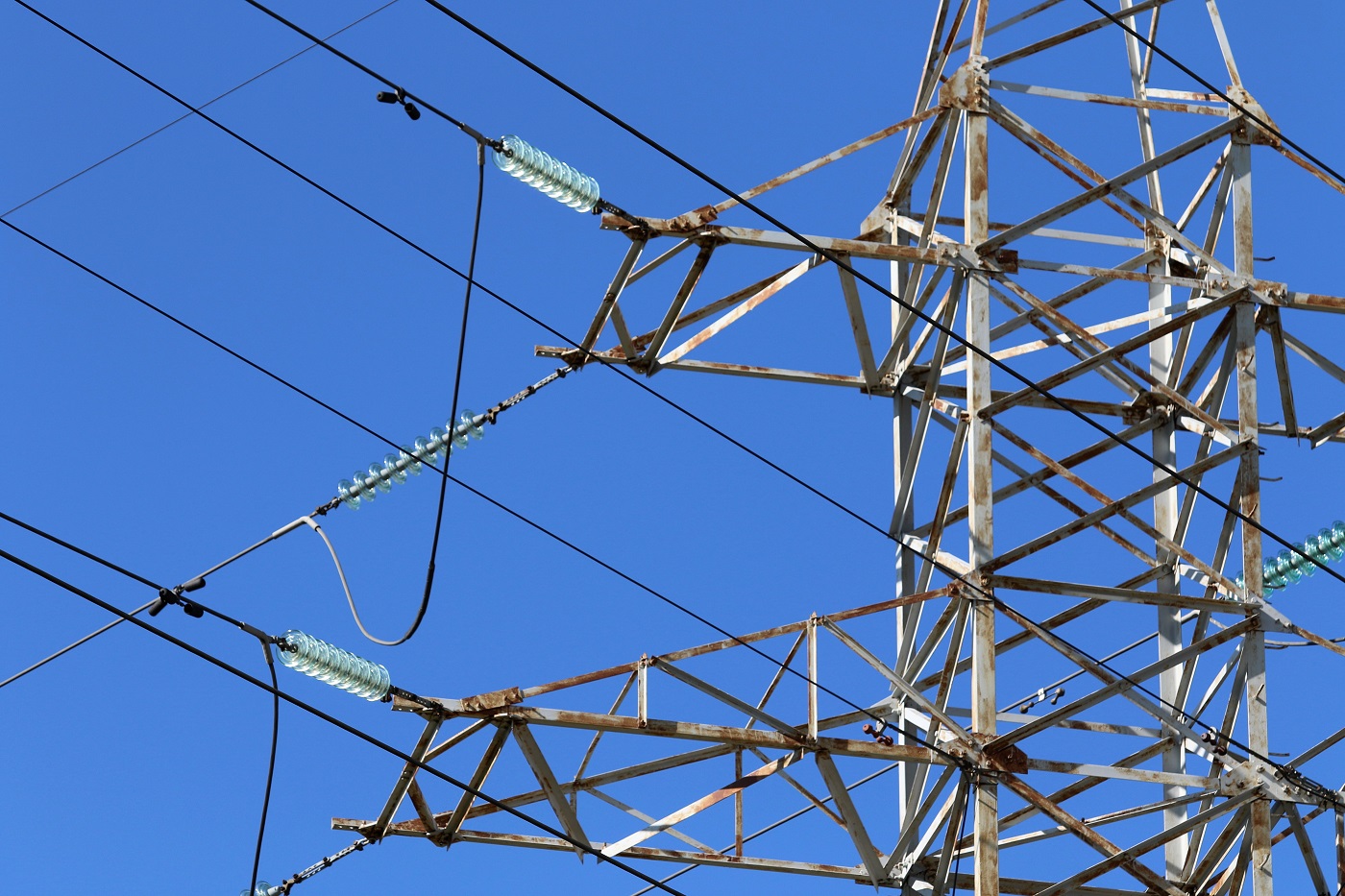 Фото: Максим Константинов, Global Look Press