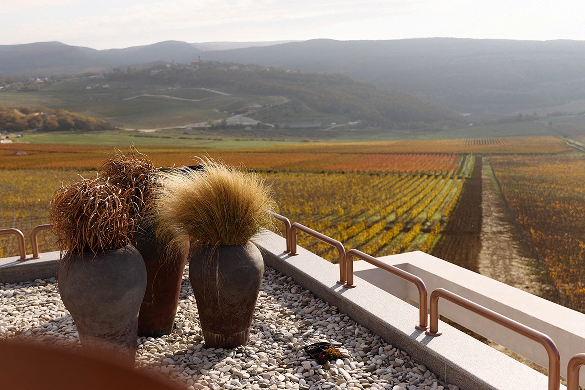 Зачем ехать на винодельню в новогодние праздники: десять причин