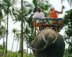 В Индии туристов привлекает слон - любитель кофе