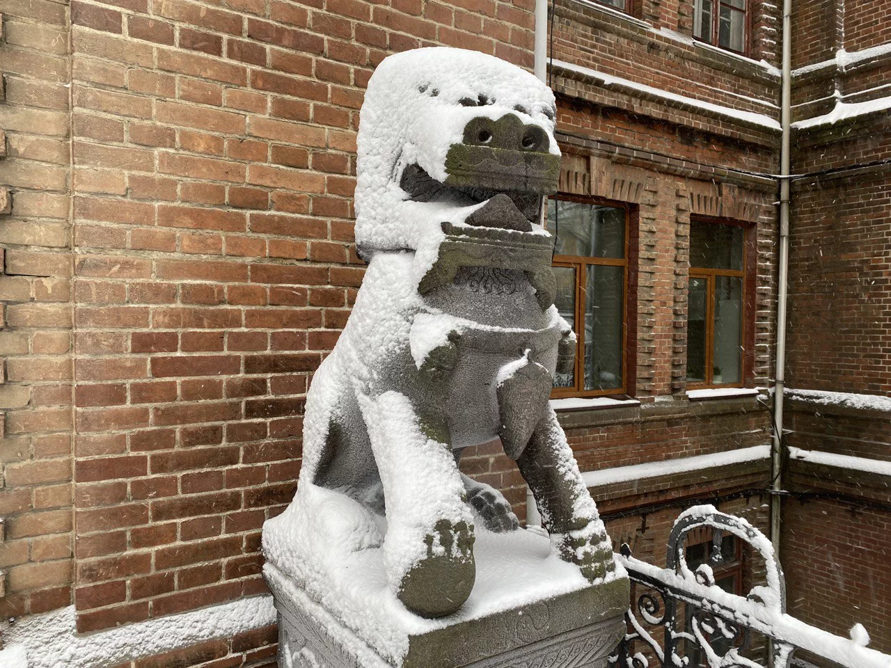 РБК Приморье