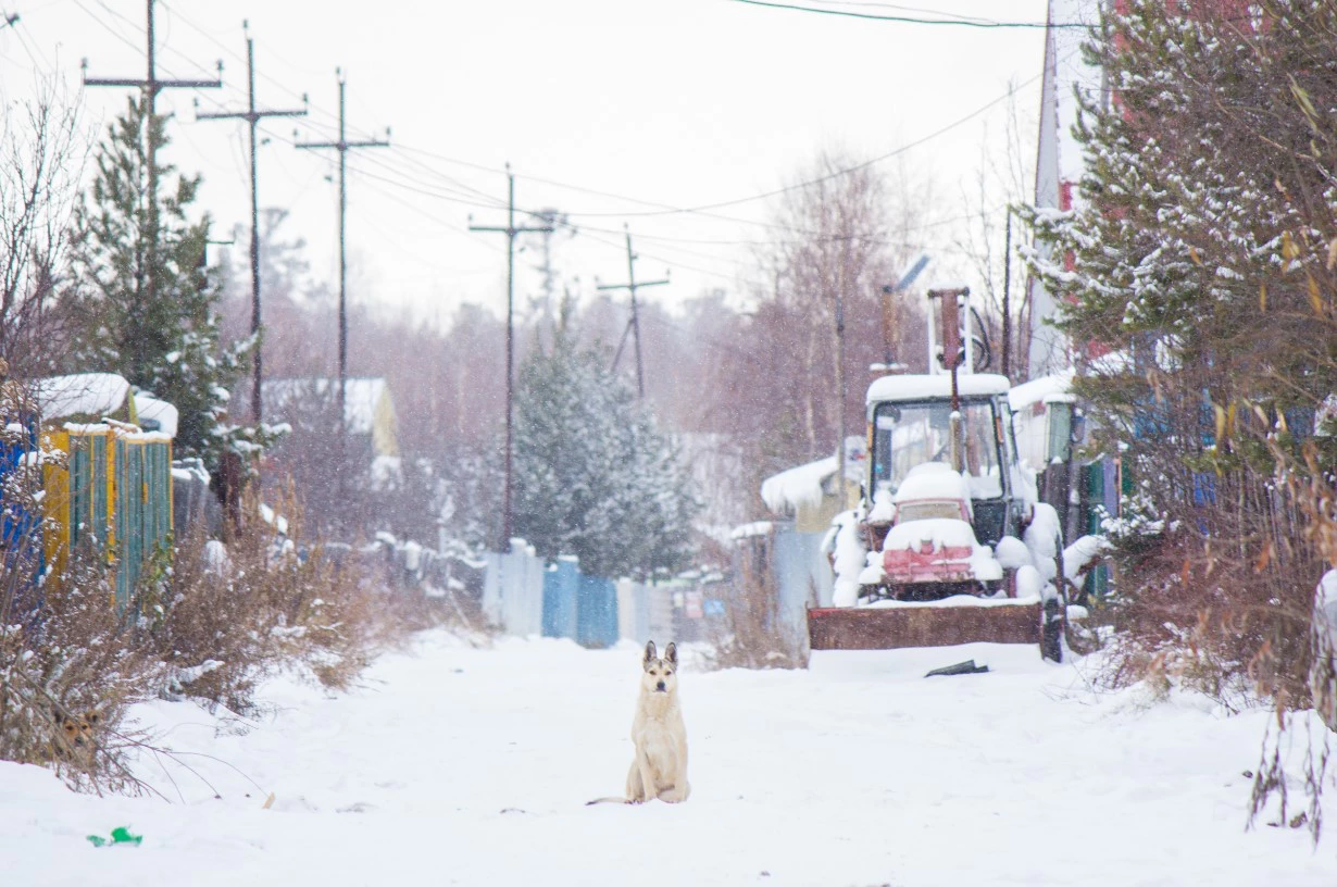 Александр Елизаров / РИА URA.RU